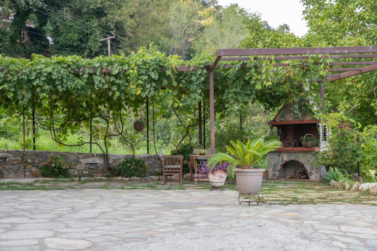 Villa Zoes House Makrirrákhi Esterno foto
